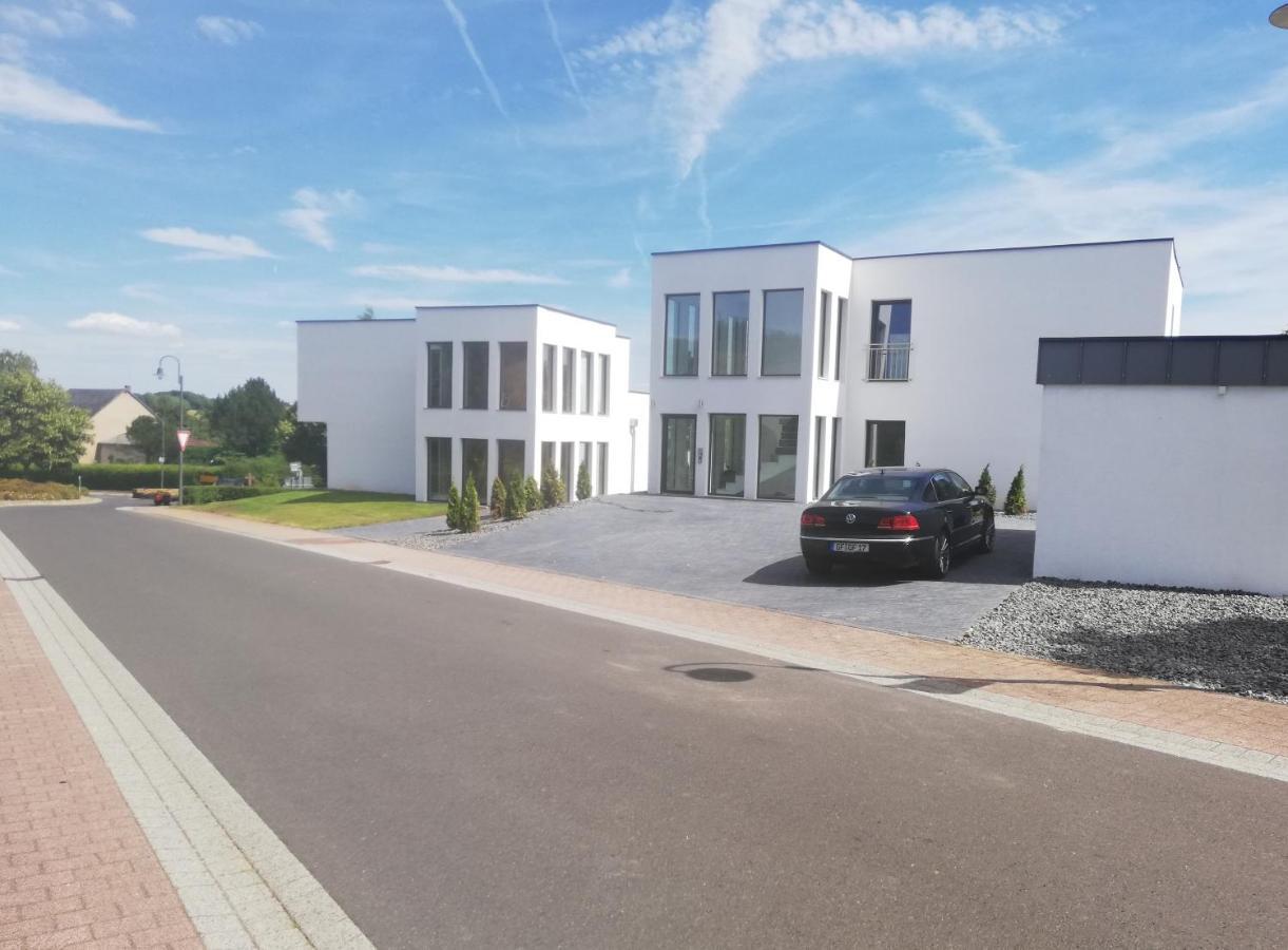 Eifel24, Neues Und Barrierefreies Appartement Mit Terrasse Schwirzheim Экстерьер фото